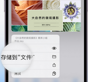 永安apple维修中心分享iPhone文件应用中存储和找到下载文件