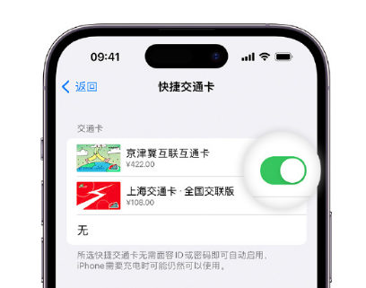 永安apple维修点分享iPhone上更换Apple Pay快捷交通卡手绘卡面 