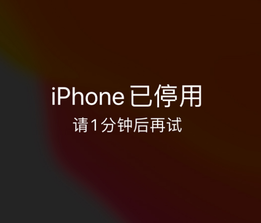 永安苹果手机维修分享:iPhone 显示“不可用”或“已停用”怎么办？还能保留数据吗？ 