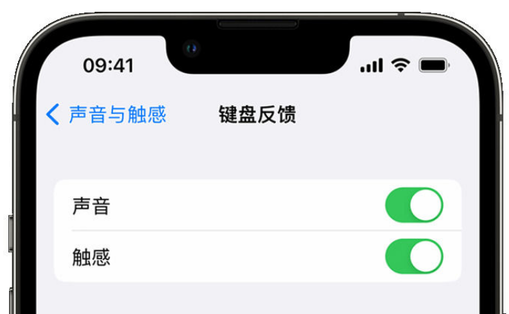 永安苹果手机维修分享iPhone 14触感键盘使用方法 