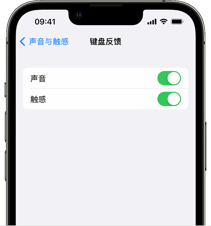 永安苹果14维修店分享如何在 iPhone 14 机型中使用触感键盘 