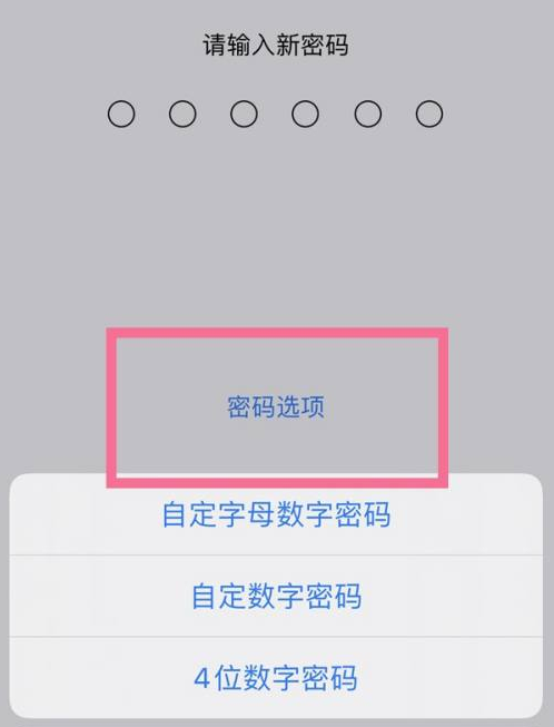 永安苹果14维修分享iPhone 14plus设置密码的方法 