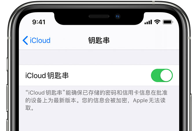 永安苹果手机维修分享在 iPhone 上开启 iCloud 钥匙串之后会储存哪些信息 