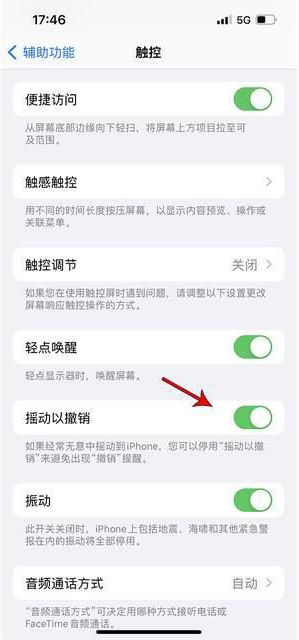 永安苹果手机维修分享iPhone手机如何设置摇一摇删除文字 