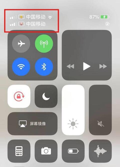 永安苹果手机维修分享为 iPhone 12 双卡设置标签 
