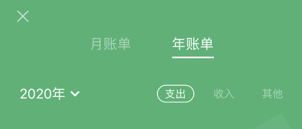 永安苹果手机维修分享如何在 iPhone 上查看支付宝和微信年支出账单 