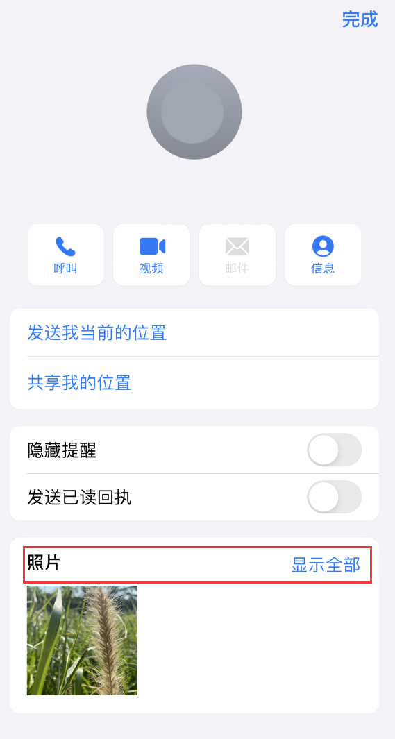 永安苹果手机维修分享如何快速查找 iMessage 信息中的图片等附件 